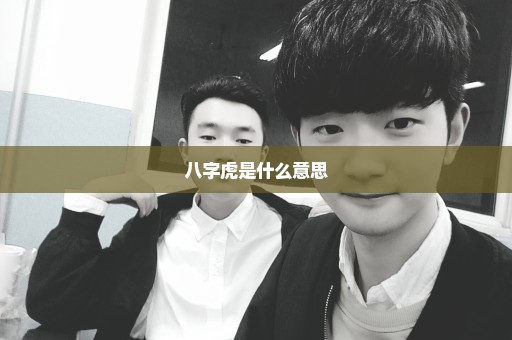 八字虎是什么意思