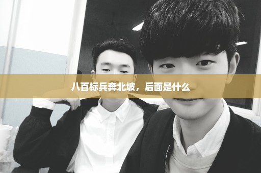 八百标兵奔北坡，后面是什么