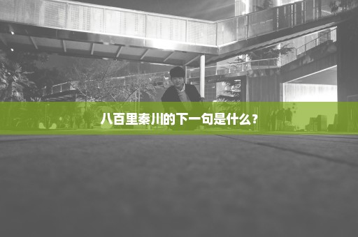 八百里秦川的下一句是什么？