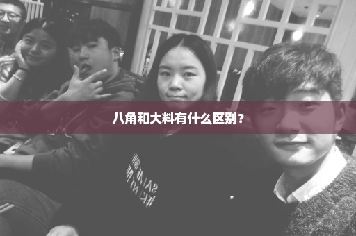 八角和大料有什么区别？