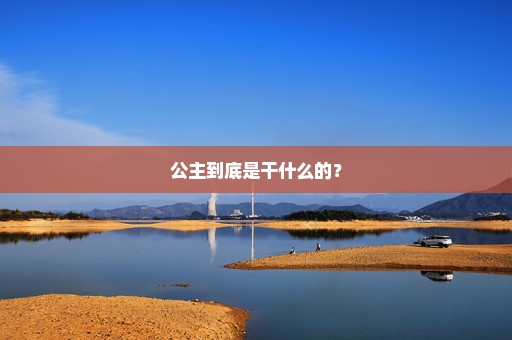 公主到底是干什么的？