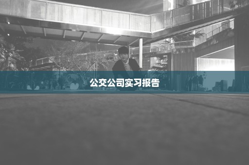 公交公司实习报告