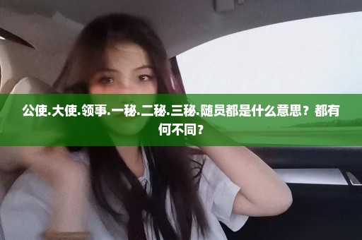 公使.大使.领事.一秘.二秘.三秘.随员都是什么意思？都有何不同？