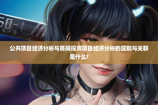 公共项目经济分析与民间投资项目经济分析的区别与关联是什么?