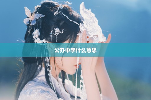 公办中学什么意思