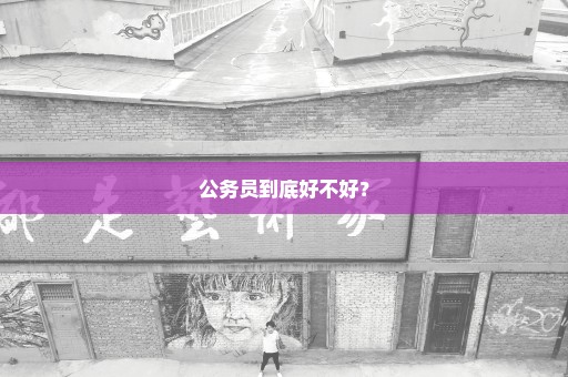 公务员到底好不好？