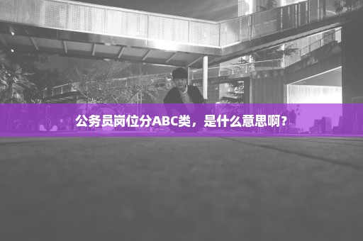 公务员岗位分ABC类，是什么意思啊？