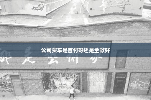公司买车是首付好还是全款好
