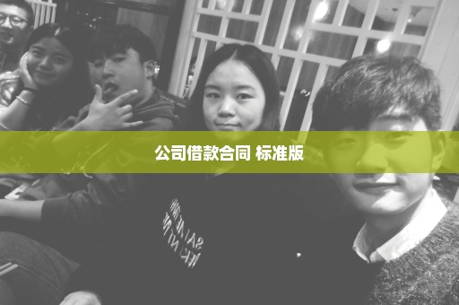 公司借款合同 标准版