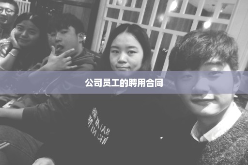 公司员工的聘用合同