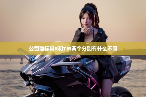 公司商标带R和TM两个分别有什么不同