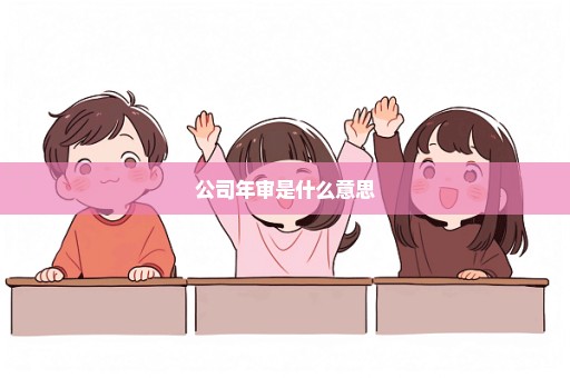 公司年审是什么意思