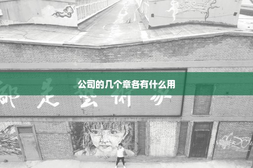公司的几个章各有什么用