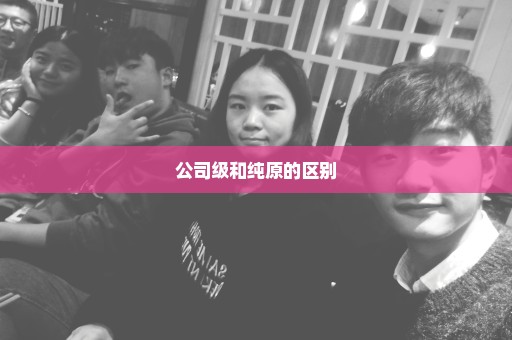 公司级和纯原的区别