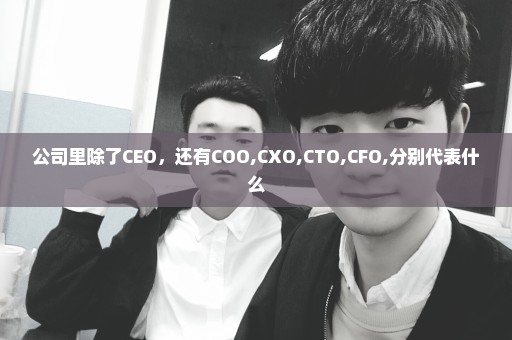 公司里除了CEO，还有COO,CXO,CTO,CFO,分别代表什么