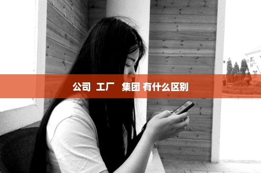 公司  工厂   集团 有什么区别