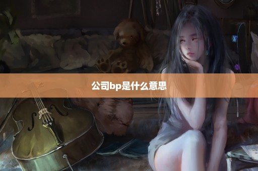公司bp是什么意思