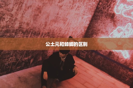 公土元和蟑螂的区别