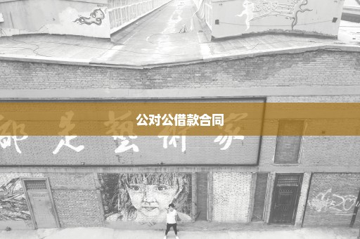 公对公借款合同