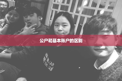 公户和基本账户的区别