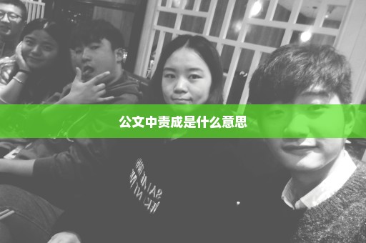 公文中责成是什么意思