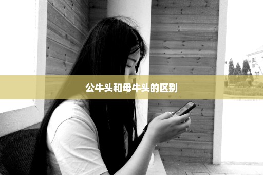 公牛头和母牛头的区别