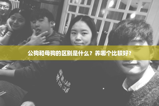 公狗和母狗的区别是什么？养哪个比较好？