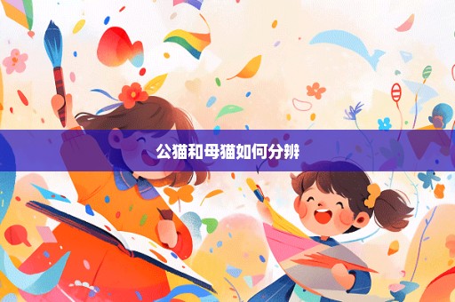 公猫和母猫如何分辨