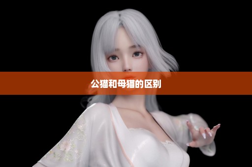 公猫和母猫的区别
