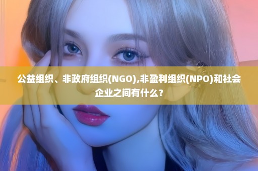 公益组织、非政府组织(NGO),非盈利组织(NPO)和社会企业之间有什么？