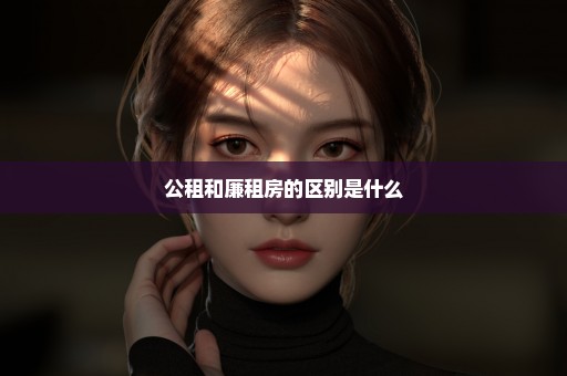公租和廉租房的区别是什么