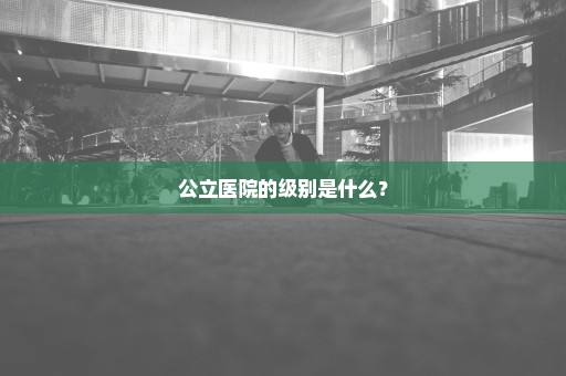 公立医院的级别是什么？