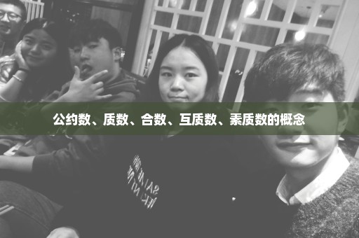 公约数、质数、合数、互质数、素质数的概念