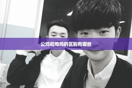 公鸡和母鸡的区别有哪些