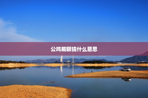 公鸡戴眼镜什么意思