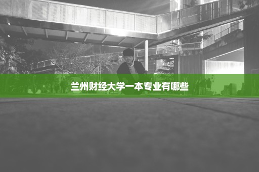 兰州财经大学一本专业有哪些