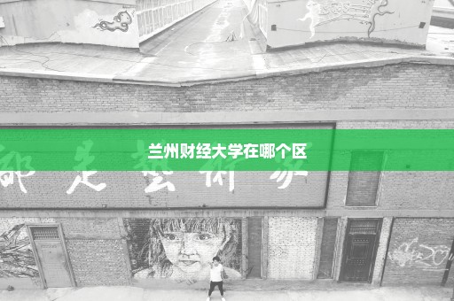 兰州财经大学在哪个区
