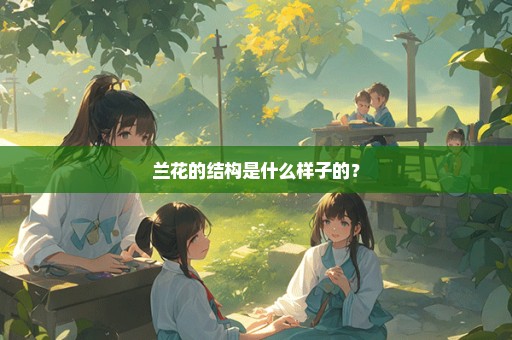 兰花的结构是什么样子的？