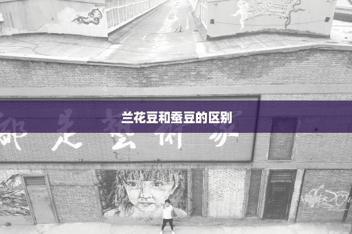 兰花豆和蚕豆的区别