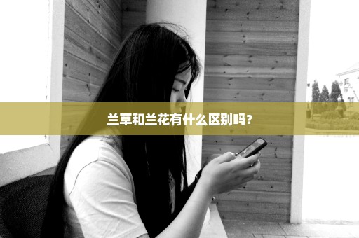 兰草和兰花有什么区别吗？