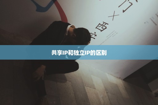 共享IP和独立IP的区别
