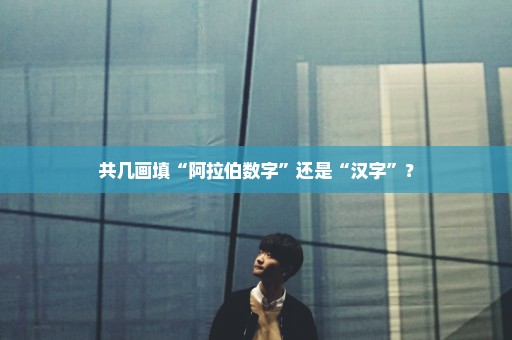 共几画填“阿拉伯数字”还是“汉字”？