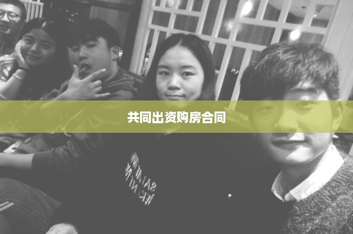 共同出资购房合同
