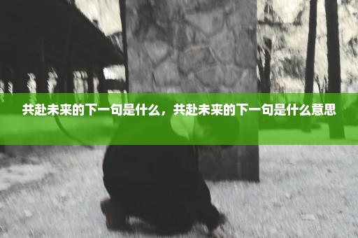 共赴未来的下一句是什么，共赴未来的下一句是什么意思 