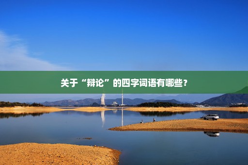 关于“辩论”的四字词语有哪些？