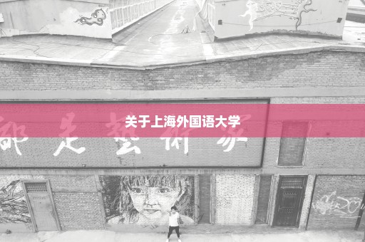 关于上海外国语大学