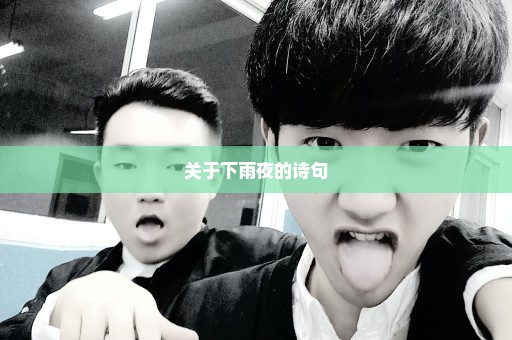 关于下雨夜的诗句