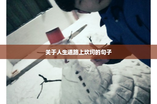 关于人生道路上坎坷的句子