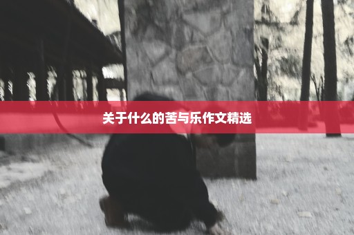关于什么的苦与乐作文精选