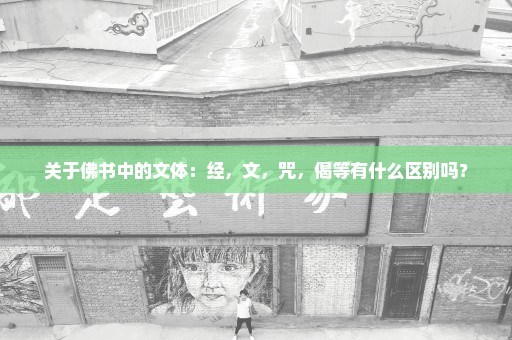 关于佛书中的文体：经，文，咒，偈等有什么区别吗？